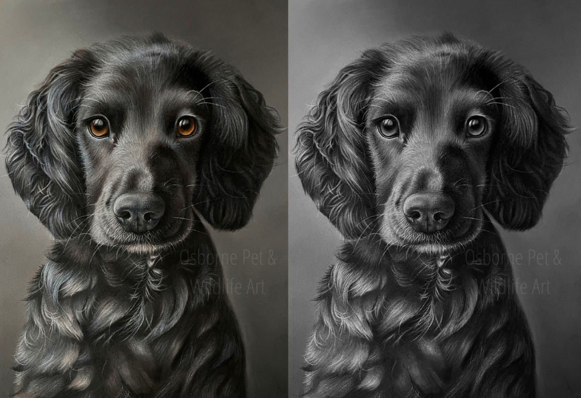 Copy of Osborne Pet & Wildlife Art